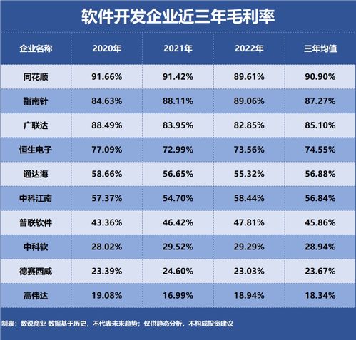 軟件開發領域 誰是盈利能力最強的企業？